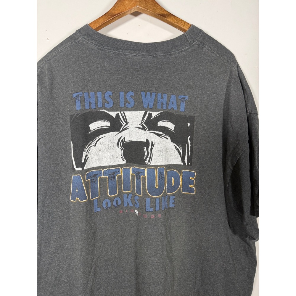 Big Dogs Mens Gray Attitude Graphic T-Shirt Santa Barbara XL FLAW